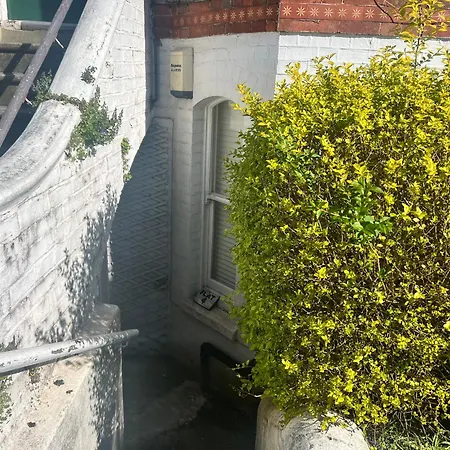Spacious Apartment - 2 Dogs Live At The Property Brighton Exterior photo