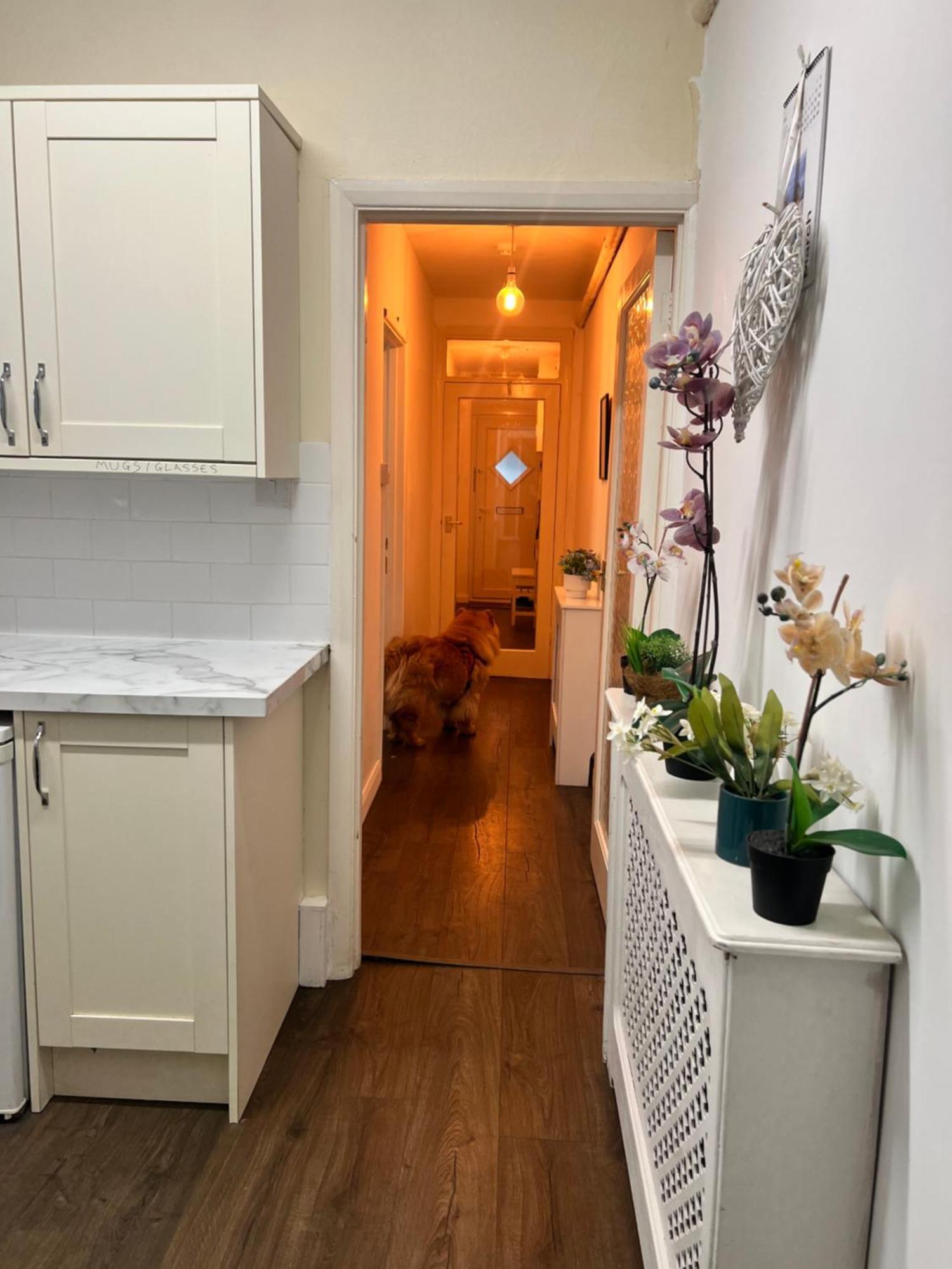 Spacious Apartment - 2 Dogs Live At The Property * Brighton