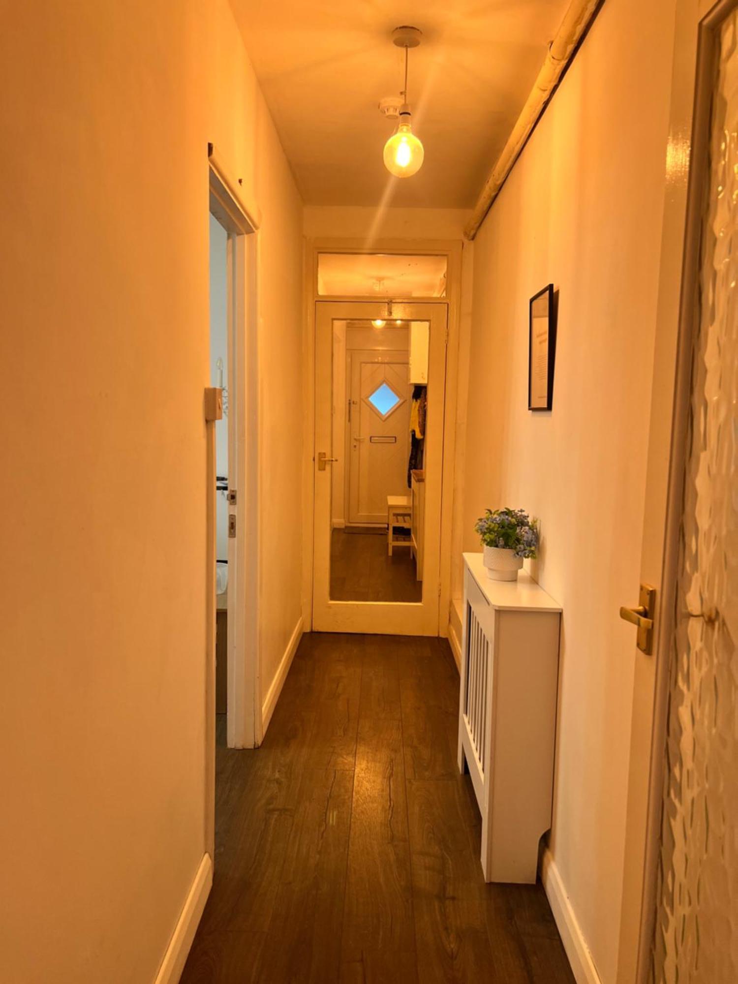 Homestay Spacious - 2 Dogs Live At The